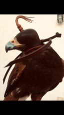 10DB3BCB-8A99-41D9-88A5-392476B98D1C.png