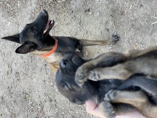 Empiezan a abrir los ojos