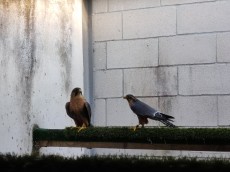 IMG_20210918_091825.jpg