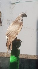 6EED79FF-A04E-4248-B92C-287DC8D05506.jpeg