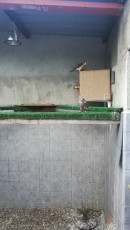 IMG_20201206_171929_1.jpg