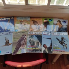 IMG_20220117_170050.jpg (3.34 MiB) Visto 1015 veces IMG_20220117_170050.jpg