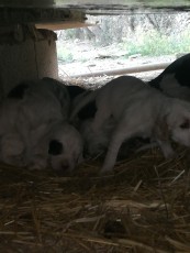IMG_20220217_183441.jpg