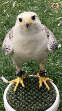 0F2C5BB7-D78E-4C0F-828F-AB4BCDF06427.png