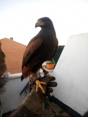 IMG_20220119_181931.jpg
