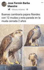 Es de un amigo se llama fermin <br />Teléfono 622 179 230