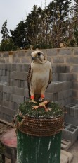IMG_20220328_184552.jpg