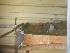 IMG_20220405_131827.jpg
