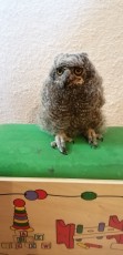 IMG_20220411_175821.jpg