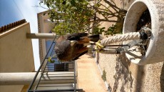IMG-20211004-WA0009.jpeg
