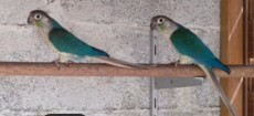 Screenshot_20220123_100751.jpg
