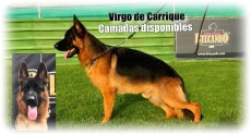 AB8C98D0-9FC2-469D-8459-D1993BCC65D0.jpeg