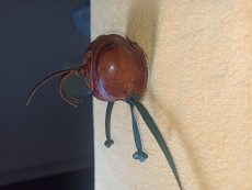 IMG_20220313_165543.jpg