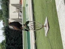 95365734-9CA6-4D05-89B4-F6B24DC9E0DA.jpeg