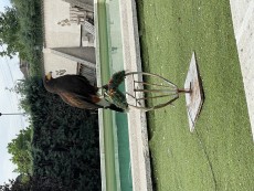 146C9641-D0F1-41AD-AB31-4F9C1495659D.jpeg