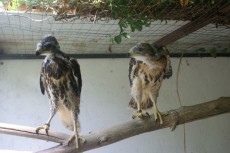 282248922_1636466783396998_9094186320252780166_n.jpg (307.3 KiB) Visto 2795 veces 282248922_1636466783396998_9094186320252780166_n.jpg