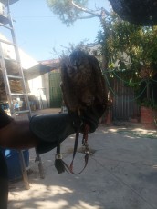IMG_20220803_095755.jpg