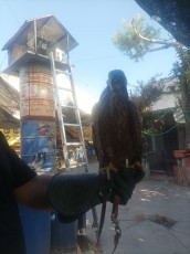IMG_20220803_095810.jpg
