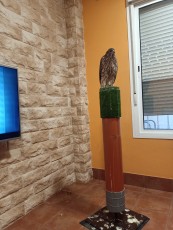 IMG20220731205204.jpg