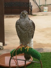 IMG_20220318_162351.jpg