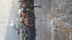 20220923_091938.jpg