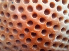 20221022_190553.jpg