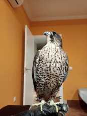 IMG20221003212928.jpg