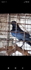 IMG-20221109-WA0028.jpg