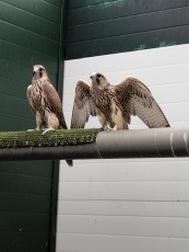 IMG_20221031_120850.jpg