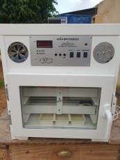 thumbnail_20220911_200235.jpg