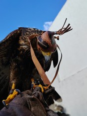 IMG_20230127_163651.jpg