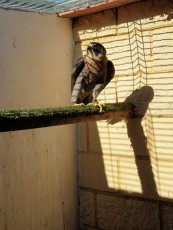 thumbnail_20230501_185038.jpg