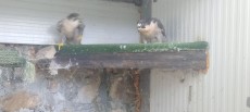 IMG20230505131517.jpg