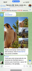 FA676BB5-0984-4795-8FA0-FEEDD2016FF3.png