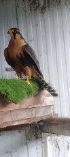 IMG20230521132846.jpg