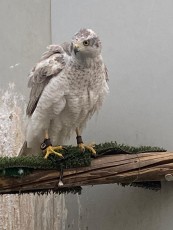 7B1F484D-6491-4D11-B199-BFFED6D99558.jpeg