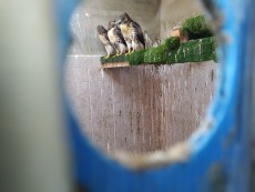 IMG_20230709_195621.jpg