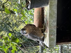 IMG_1133.jpeg