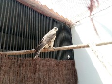 IMG-20180913-WA0000.jpg