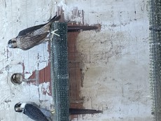 IMG_8581.jpeg