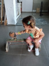 POLLO APLOMADO.jpg
