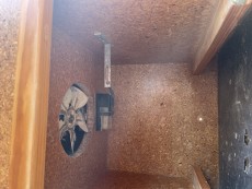 IMG_7812.jpeg
