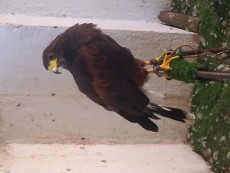 IMG_20230810_074405.jpg