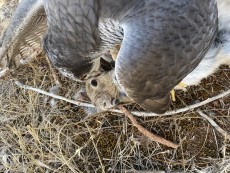 9C657EDF-CEFF-40C9-AC9F-9BCAE90EA6BE.jpeg