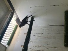 IMG_5201.jpeg