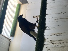 IMG_5202.jpeg