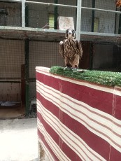 IMG_20230824_125605.jpg