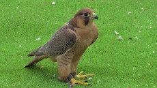 IMG_1128.jpeg