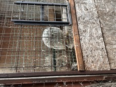 IMG_3626.jpeg