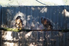 DSC_0074.JPG